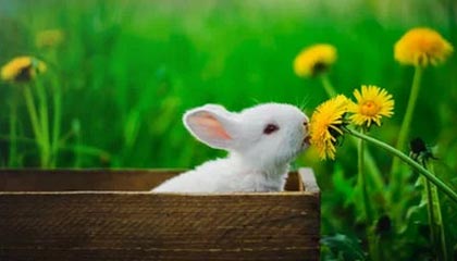 接机女球迷吐槽詹姆斯：哎哎哎这就走了，这都不看我们一眼